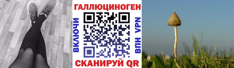 Галлюциногенные грибы мицелий  Купить где  Мурино 