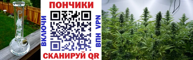 Купить закладки Мурино Марихуана план
